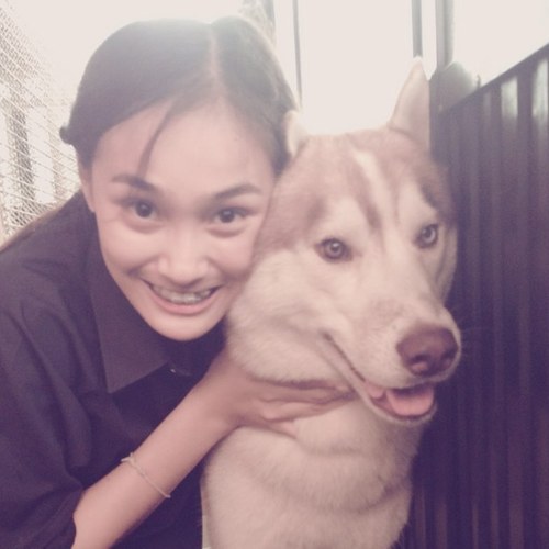 Mchadow's profile picture. 