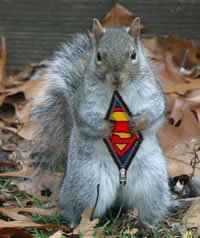 Just out here tryna get a nut #JMU