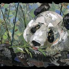 pandaboots4u's profile picture. An Alliance of Parkinson's patients, caregivers, medical professionals, and their community resources uniting together to enable a better quality of life...