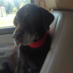 Gretchen Oliver (@gretchendoliver) Twitter profile photo Gretchen Oliver (@gretchendoliver) Twitter profile photo