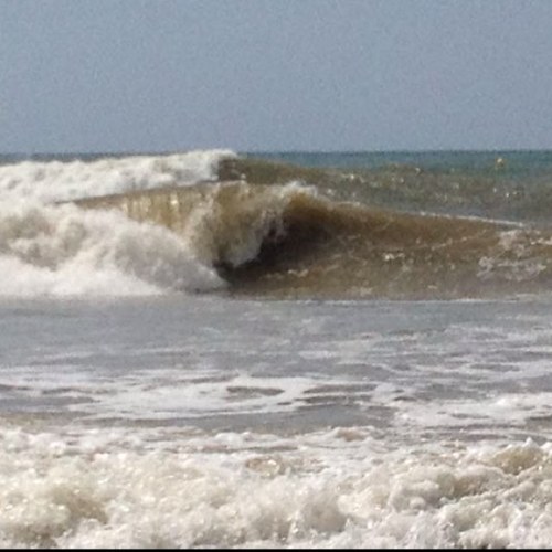 pernywa's profile picture. 