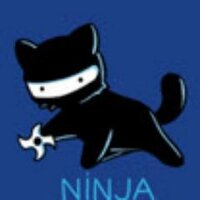 Katze Hokke 🏒 (@officeninjacat) 's Twitter Profile Photo