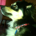 Eric Slagle - @eslagle1 - Twitter