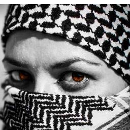 afsha_arjumand's profile picture. Journalist