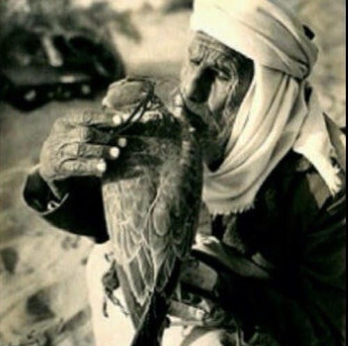 أحُبُ الصالحين ولست منهم لعلي أن أنال بهم شفاعة وأكره من تجارته المعاصي ولو كنا سواء في البضاعة *إعادة التغريد لا تعني الموافقة*