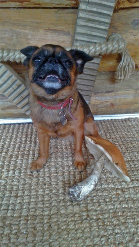 smesheed's profile picture.