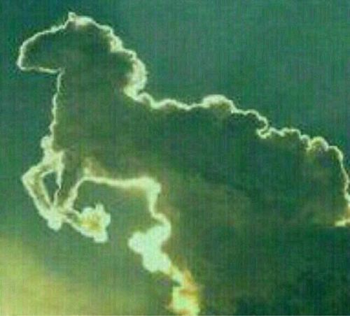 therabbit125's profile picture. 