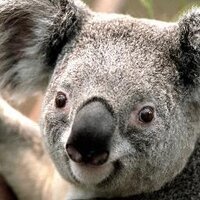 Mackey Macs (@mackey069) 's Twitter Profile