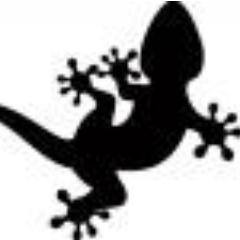 leonelproano's profile picture. 