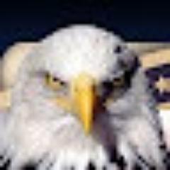 EHealthCigg's profile picture. We Are A Family Business that Personally Cares About All Our Customers!
Plus we offer a 100% Guarantee!