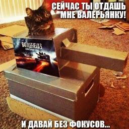 Avenger_Dimka's profile picture. Я болею за Зенит и другие команды.
Обожаю Фильм Мстители и тех же актёров.