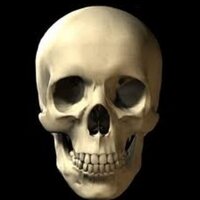 Jim (@vulture137) 's Twitter Profile