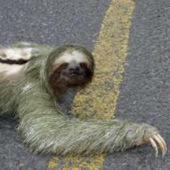 nrmandell's profile picture. 