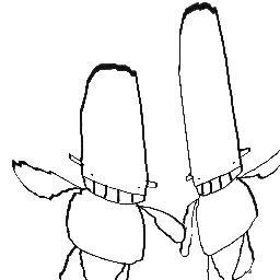 tubba3ply's profile picture. breakbeat, dub, punk, electronic, brighton england