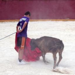 calatayud1rtg's profile picture. 