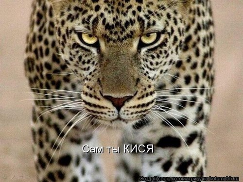 dentos523's profile picture. 