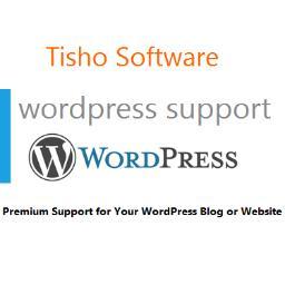 We are here to help you use WordPress in the Best Way for Your Successful Blog or Website!