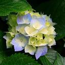 Beth Bay - @BethBay1 - Twitter