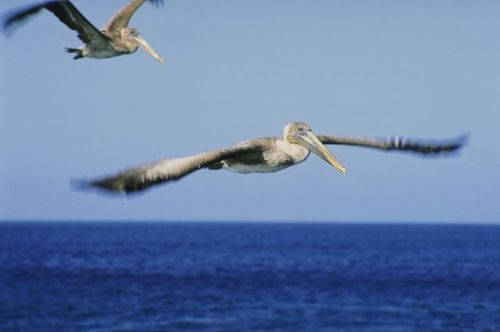 molina22_molina's profile picture. i love fashion