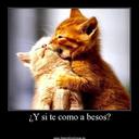 josue daniel arita  - @patoclic2011 - Twitter