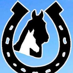 We specialize in hard-to-find horse trailer parts & accessories, with easy online ordering from our new website. Our FLAT-RATE shipping will save you money!