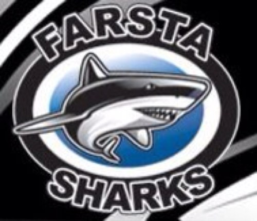 FarstaIBKHerr's profile picture. Ett frejdigt innebandylag med höga ambitioner i div 1 mellersta svealand. Du hittar oss självklart även på facebook och instagram på Farsta IBK Herr.