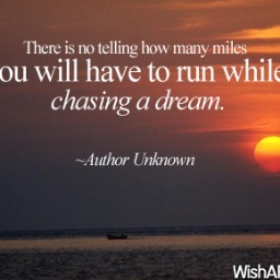 steve39002379's profile picture. 