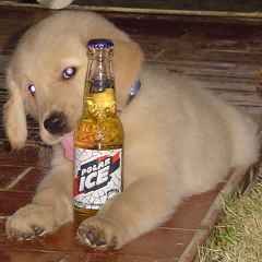 parra_wilfredo's profile picture. 