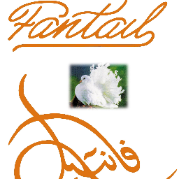 fantaillingerie's profile picture. every thing you long for in the lingerie world