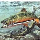 Mark Behnke - @BehnkeFishing - Twitter