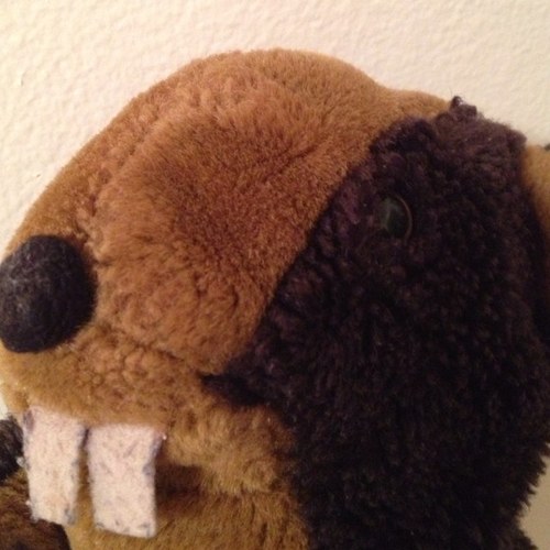 GopherTrader's profile picture. http://t.co/c3jxgeEAx5