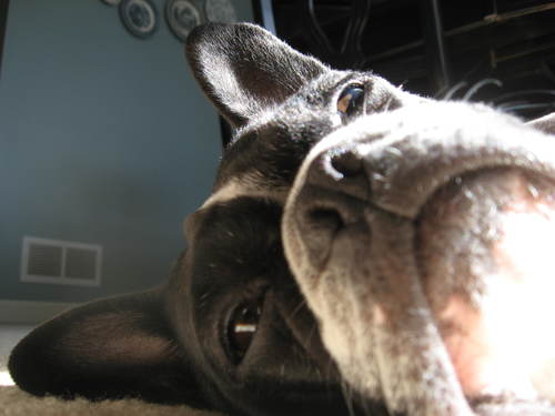 LuluMatejka's profile picture. 