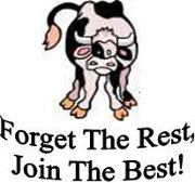 glarryfordyfc's profile picture. 