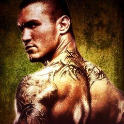 WWE FAN FOREVER ! THE BIGGEST FAN OF PUNK AND ORTON ! GTS ! RKO !