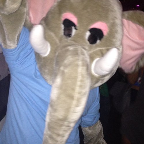 I'm the Club Mission elephant. I love life at Loughborough Uni. Come share my world!
