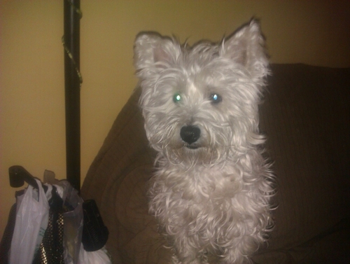 hardkonen69's profile picture. Si actuas como no piensas, terminaras pensando como actuas