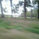 lou richards - @wolfmom11 - Twitter