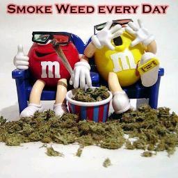 LIE2MEPLZ's profile picture. 