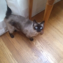 Cynthia Loftin - @CynthiaLoftin1 - Twitter