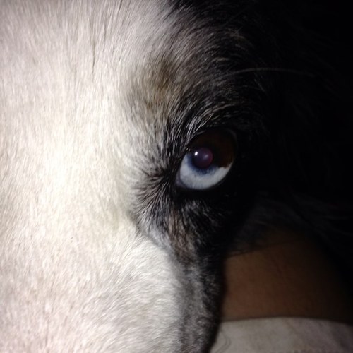 spookyjones13's profile picture. 