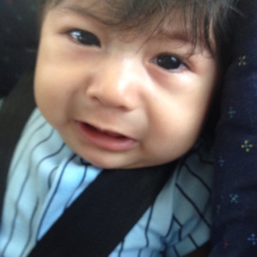 JoseGon02252764's profile picture. 