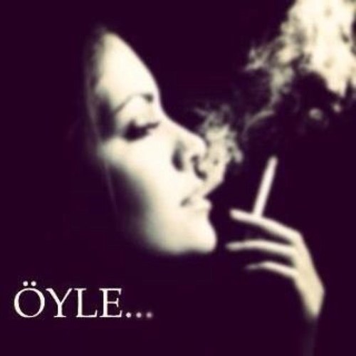 iphonehayat's profile picture. 