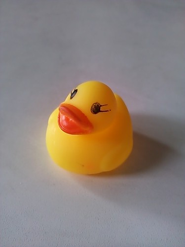 平凡な日常のしょーもないﾂﾌﾞﾔｷでお許し下さいませ。。