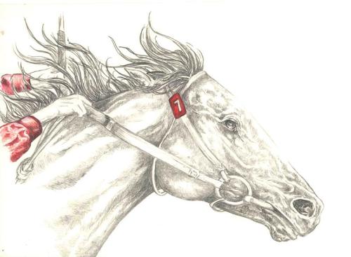 Horse trainer.  Mother Grandmother a MAGA been known to be a rebel.  Saints,LSU fan  ❤️ animals