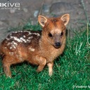 Aaron Shaffer - @awsumpossumman - Twitter