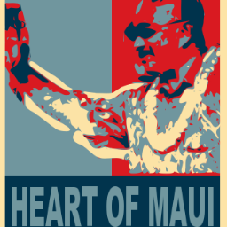 Former Pol (Kahului- Puunene- Wailuku- Waihee -Waikapu Mauka). Democrat. Central Maui Selected Rep (2009). Selected State Sen (2013). Paia Boy. Maui Native.