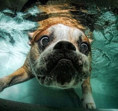 TheMillarBoy's profile picture. 