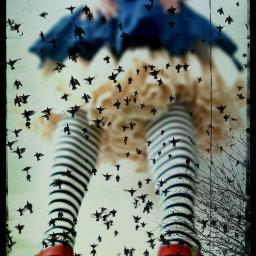 twitt_alice's profile picture. If I had a world of my own, everything would be nonsense. Nothing would be what it is because everything would be what it isn't. And contrary-wise!