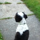 Jamie Morelli - @jamielynn819 - Twitter