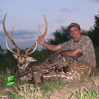 bob endreson (@bobendreson) 's Twitter Profile